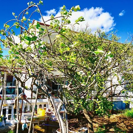 House Mariposa Otel Trogir Dış mekan fotoğraf